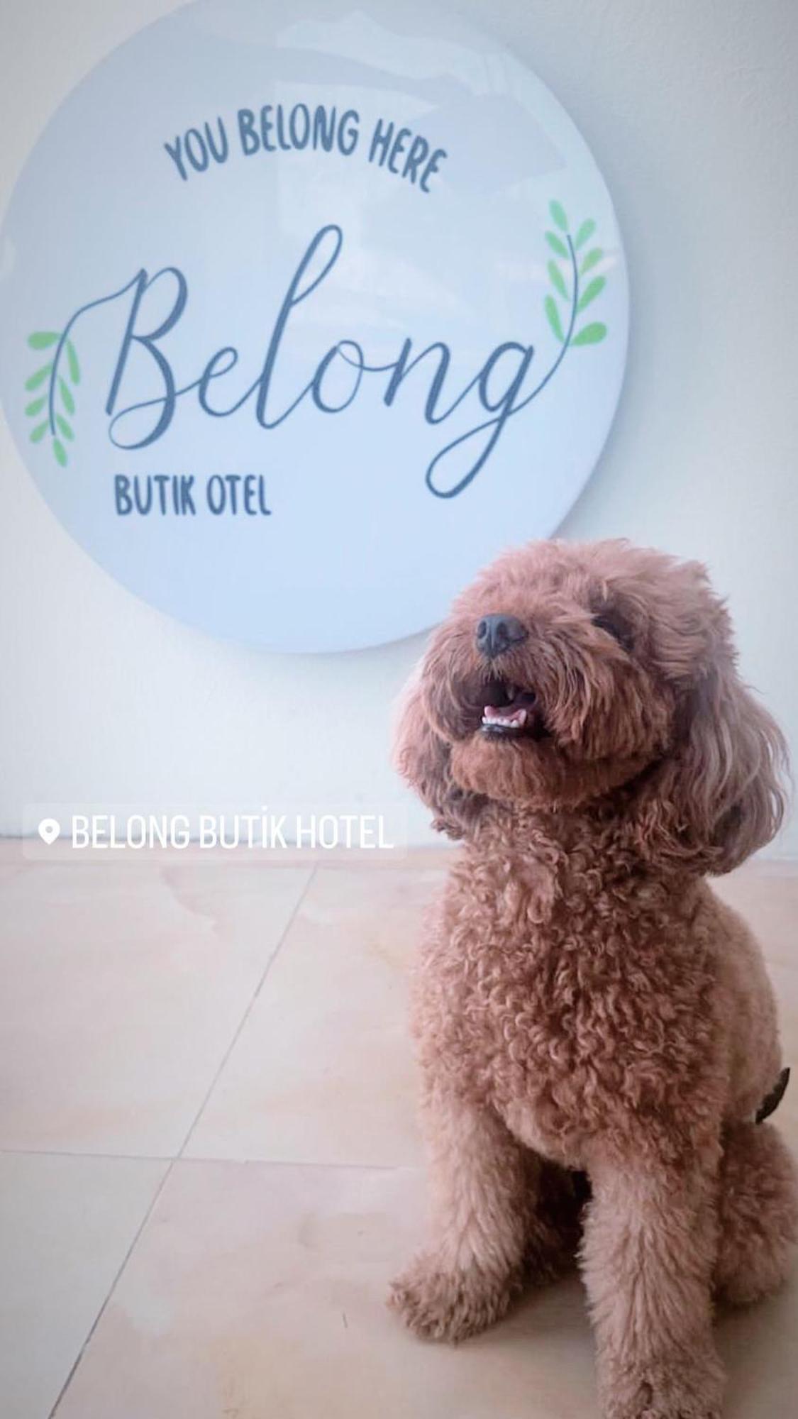 Belong Butik Otel Чесме Екстериор снимка