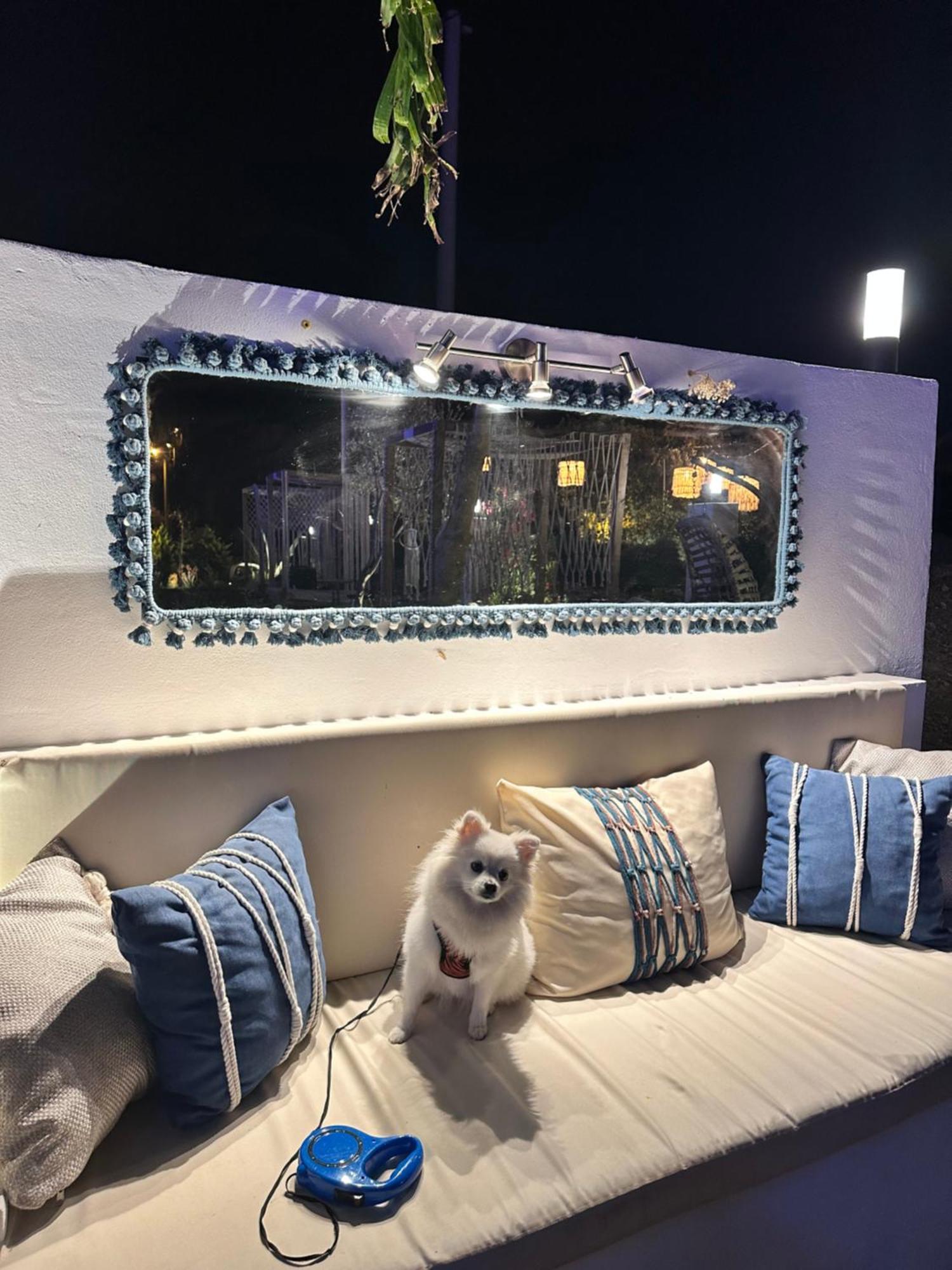 Belong Butik Otel Чесме Екстериор снимка